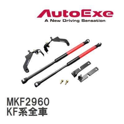 AutoExe cx-8（ボンネットダンパー）｜エアロパーツ｜自動車 | 車