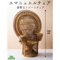 かご 即納可 椅子 アジアン エスニック 大きい オリジナル 高貴 エマニュエル 美しい リゾート CS5 w112 d70 h145  座面φ49 d70 h145cm | VMDバスケット