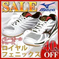 MIZUNO（ミズノ） V1GA1560-98 ヒノトリ バレーボールシューズ