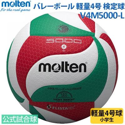 volleyballassist_v4m5000-l?