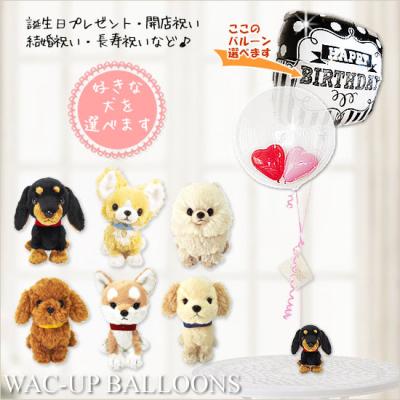 シーズー ぬいぐるみのおすすめ人気ランキングTOP100 - Yahoo!ショッピング