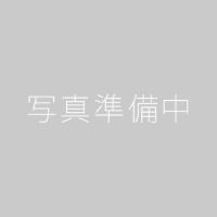 青木刃物製作所 180ｍｍ　三徳　青二鋼 13061 | WADA TOKI