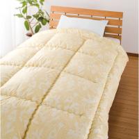 ウォッシャブル羽毛肌掛けふとん 1342-54416 3485-055 :t3ab-1698288:A ウォッシャブル羽毛肌掛けふとん 1342-54416 3485-055 :t3ab-1698288:A