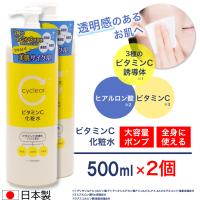ビタミンC誘導体 化粧水 500ml ×2個 ビタミンＣ 柑橘系の香り 毛穴ケア 日本製 | わごんせる金橋