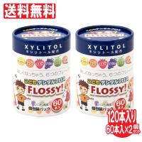 こども用 フロス60本×2個セット フロッシー 子供用デンタルフロス キシリトール配合 こどもデンタルフロス 定形外郵便で発送 送料無料 | わごんせる金橋