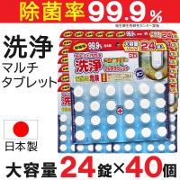 排水口クリーナー 洗浄 マルチタブレット 大容量 24錠入×40個 ライオンケミカル ピクス 日本製 | わごんせる