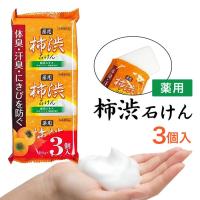 柿渋石鹸 100g 3個入り  (薬用 柿渋石けん) 薬用柿渋石鹸 医薬部外品「メール便で送料無料」 わごんせる - 通販 - PayPayモール