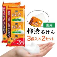 石鹸 柿渋 薬用 医薬部外品 100g 3個入り 2セット 固形石鹸