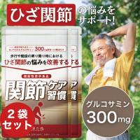 【薬剤師監修】 2袋 グルコサミン プロテオグリカン 膝 サプリメント II型コラーゲン MSM ヒアルロン酸 関節 サプリ 軟骨 N-アセチルグルコサミン 関節ケア習慣 | 和漢の森