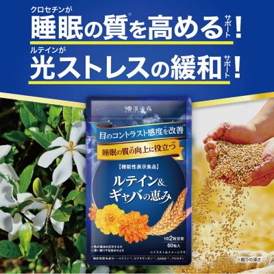 和漢の森 ルテイン＆ギャバの恵み  60粒入 ×3袋 公式】ルテイン＆ギャバの恵み│和漢の森