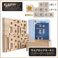 サムブロックス SumBlox 遊びながら数字が学べる積み木 知育玩具 日本語ガイド付き (サムブロックス・ミニ・スターターセット) | Waku Waku Shop Yahoo!店