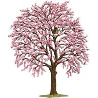 ヴァルト - 錫のヴィルヘルム・シュヴァイツァー工房｜Yahoo!ショッピング