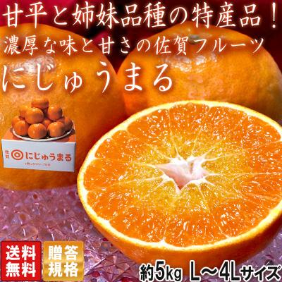 食品 おまとめ割引 甘平8キロ デコ8キロ