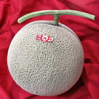 アールスメロン2玉のおすすめ人気商品一覧 通販 - Yahoo!ショッピング