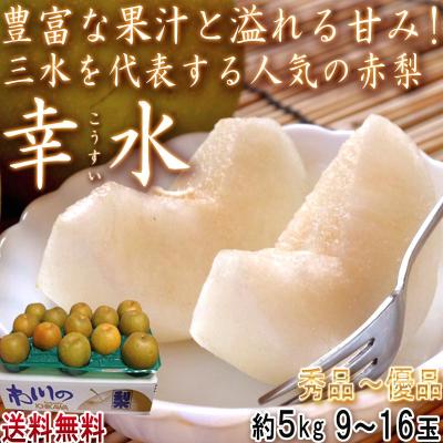 彩玉 梨の商品一覧 通販 - Yahoo!ショッピング