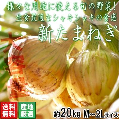 玉ねぎ 20kgのおすすめ人気商品一覧 通販 - Yahoo!ショッピング