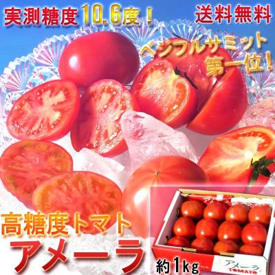 アメーラトマト（野菜） | 食品 のおすすめ人気商品一覧 通販 - Yahoo