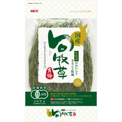 ★みかん★USA産イタリアンライグラス ☆みかん☆USA産イタリアンライグラス ☆みかん☆USA産イタリアン