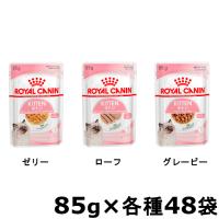 ロイヤルカナン 猫用 FHN-WET キトングレービー 48個セット  キャットフード 猫用 フード 猫 ウェットフード ペットフード | Pet館 Yahoo!店