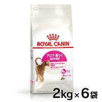 ロイヤルカナン 猫用 アロマ エクシジェント 2kg 6個セット D キャットフード 猫用 フード 猫 | Pet館 Yahoo!店