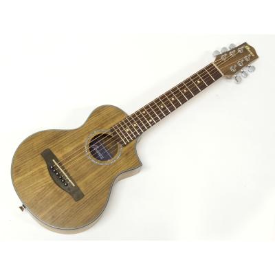 ibanez ewp（アコースティックギター、クラシックギター本体）｜ギター