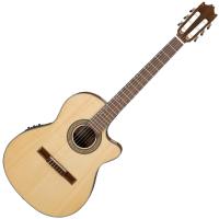Ibanez(アイバニーズ) GA30TCE NT エレガット クラシックギター ガット