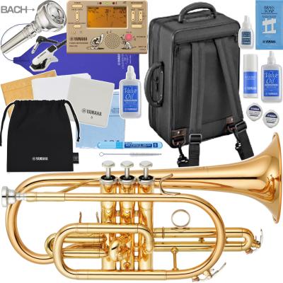 YAMAHA YCR-4330GIIのおすすめ人気商品一覧 通販 - Yahoo!ショッピング