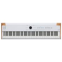 Arturia(アートリア) Astrolab 88 アナログモデリング シンセサイザー 88鍵盤 | ワタナベ楽器ヤフーSHOP