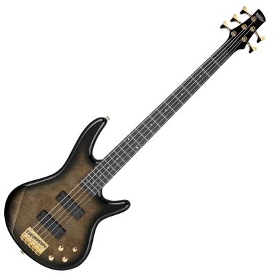 Ibanez SR505（ベース）｜楽器、器材 | 楽器、手芸、コレクション の