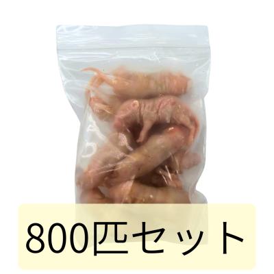 いちご大福 冷凍マウス セット いちご大福 冷凍マウス セット 楽天市場