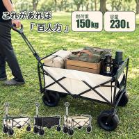 キャリーワゴン アウトドアワゴン キャスター付き ワゴン 大容量 軽い 大型 子供 折りたたみ 自立 小型 押す 耐荷重 150 kg 超PayPay祭