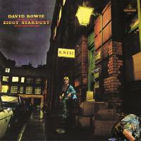 デヴィッドボウイ David Bowie - The Rise and Fall of Ziggy Stardust and the Spiders from Mars LP レコード 輸入盤 | ワールドディスクプレイスY!弐号館