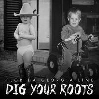 フロリダジョージアライン Florida Georgia Line - Dig Your Roots CD アルバム 輸入盤 | ワールドディスクプレイスY!弐号館