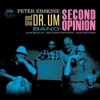 Peter Erskine - Second Opinion CD アルバム 輸入盤 | ワールドディスクプレイスY!弐号館