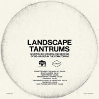 Mars Volta - Landscape Tantrums: Unfinished Original Recordings Of De-Loused In The Comatorium - Clear Vinyl LP レコード 輸入盤 | ワールドディスクプレイスY!弐号館