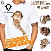 Tシャツ イラスト メンズ 3d 猫 茶トラ 可愛い 半袖 男女兼用 薄手 ねこ 白 レディース 面白 おもしろ トリックアート 送料無料 Jiduo01 ミズショウ 通販 Yahoo ショッピング