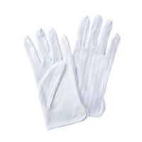 サンワサプライ 静電気防止手袋 滑り止め付き Lサイズ TK-SE12L | webby shop