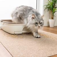 サンコー おくだけ吸着猫のトイレ下敷きマット ベージュ | webby shop