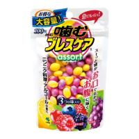小林製薬 噛むブレスケア パウチアソート 100粒 | webby shop