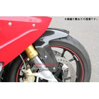 SPEEDRA SPEEDRA:スピードラ フロントフェンダー タイプ：平織り艶あり R1200R R1200RS BMW BMW BMW BMW | ウェビック2号店