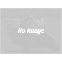 NOJIMA ノジマ GTS DLCチタンフルエキゾースト 4-1SC タイプ：機械曲げエキパイ(ツヤ有) ZRX1200 DAEG KAWASAKI カワサキ | ウェビック2号店