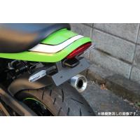 SPEEDRA スピードラ フェンダーレスキット 仕様：平織艶消し Z900RS Z900RS CAFE KAWASAKI カワサキ KAWASAKI カワサキ | ウェビック2号店