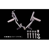 rgv250γ バックステップ（車、バイク、自転車）の商品一覧 通販