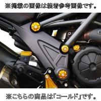 BABYFACE BABYFACE:ベビーフェイス フレームキャップ カラー：ゴールド DIAVEL DUCATI ドゥカティ | ウェビック1号店