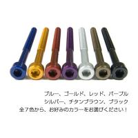 JP MotoMart(DURA-BOLT) JPモトマート(デュラボルト) エンジンカバーボルトキット 34本 (+34枚) セット カラー：ゴールド MT09A YAMAHA ヤマハ | ウェビック1号店