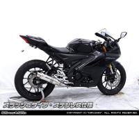 WirusWin（ウイルズウィン） ダイナミックマフラー サイレンサー素材
