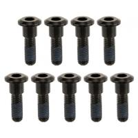 Motone Customs モートーンカスタムズ ブレーキローターボルト カラー：ブラック TRIUMPH トライアンフ ローターボルト ブレーキ | ウェビック1号店