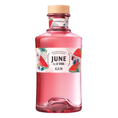 【終売】ジーヴァイン ジン 2本セット GIN ジーヴァイン ジン フロレゾンのおすすめ人気商品一覧 通販 - Yahoo