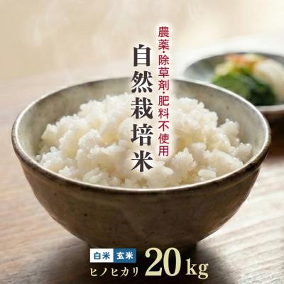 熊本四季農園Yahoo!店 - 自然栽培米 ヒノヒカリ｜Yahoo!ショッピング