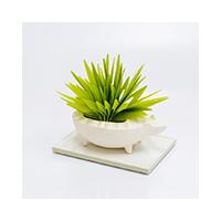 自然気化式ハイブリッド加湿器　ミスティデュオ　はりねずみ　リク | White-Tiger